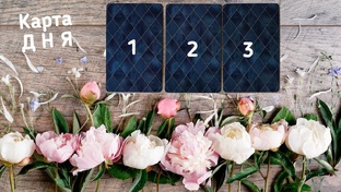 Карта дня