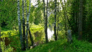 Обо всём из жизни