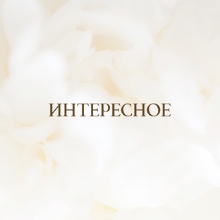 ㅤ