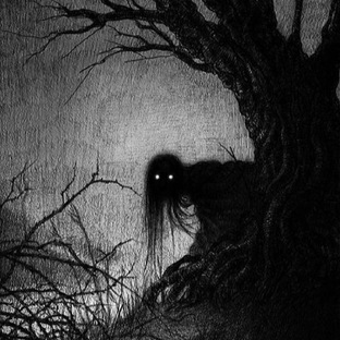 новые истории 