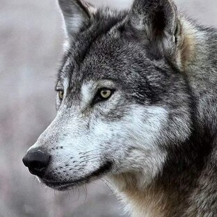 Факты и советы