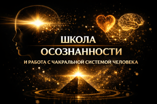Школа осознанности и работа с чакральной системой человека