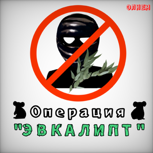 Операция "ЭВКАЛИПТ"🐨