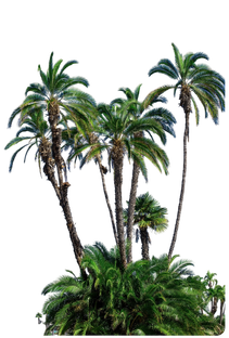 Грамматика А1