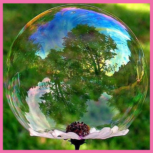 ЧУДЕСА ПЛАНЕТЫ