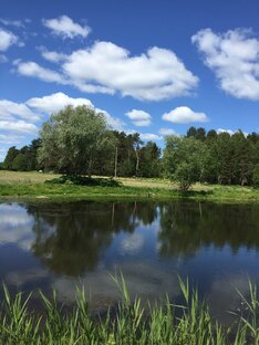 Психология, жесты, внутренний мир человека.