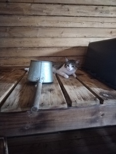 Домашняя суета.