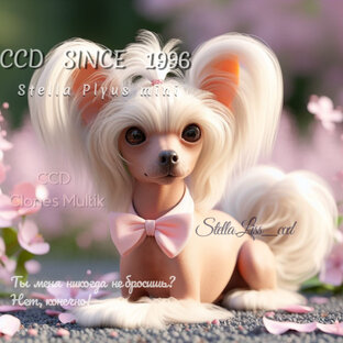 CCD- Hairless(не бритая)