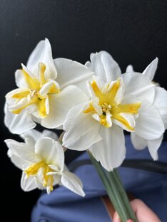 Жизнь без рюш