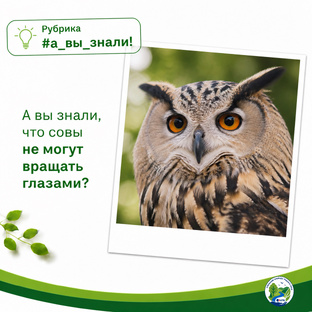 А вы знали? 