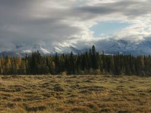 Путешествия 