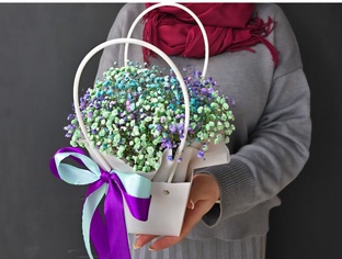 БЕСПЛАТНО🎁