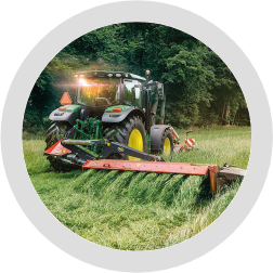 Сельское хозяйство