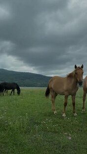 ТЫ МОЖЕШЬ ВСЁ... 