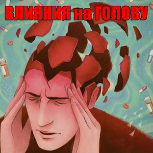 Влияния на Голову.
