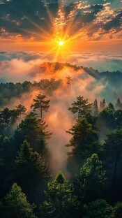 Прогноз на день