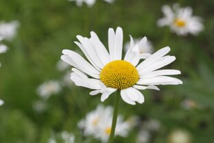 Творчество летних эпох 