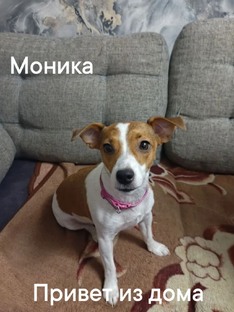 Приветы из дома