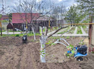 Садовая подборка