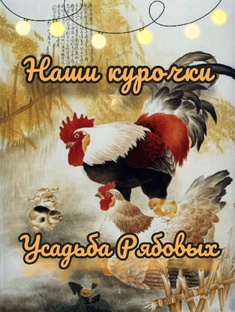 Наши курочки🐓🐔🐣