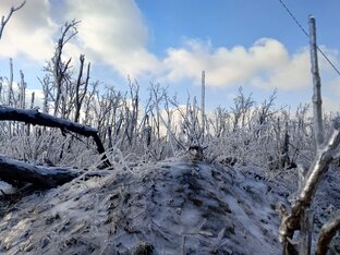 87полк. 2 ротация. Часть2