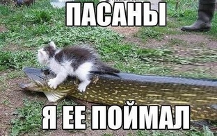 Про рыбалку