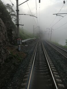 ЕГЭ по литературе