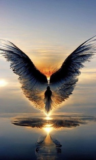 Кармические задачи Зодиаков