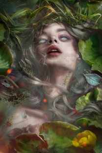 Кружево судьбы