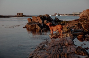 Полезности