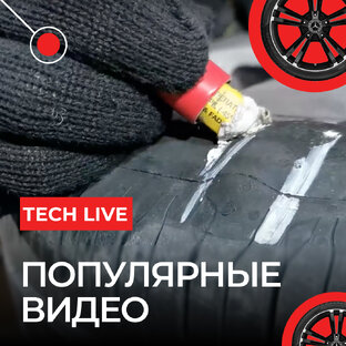 Популярные Видео🔝