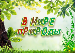 📗 В МИРЕ ПРИРОДЫ ~ СЛАЙДЫ ~