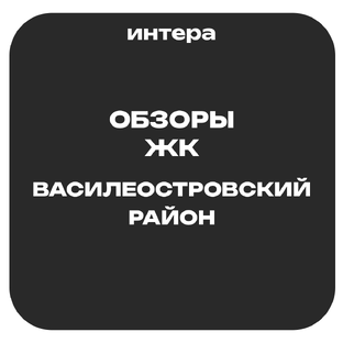 Василеостровский район