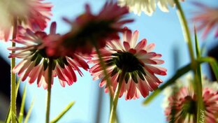 Мне нужна женщина (аудио🎧)