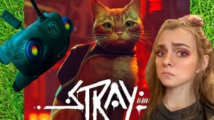 Stray