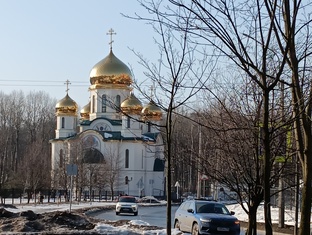Найденыш