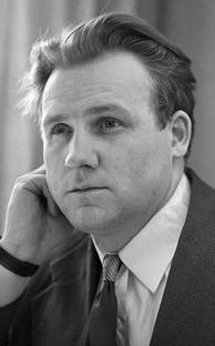Владимир Цыбин