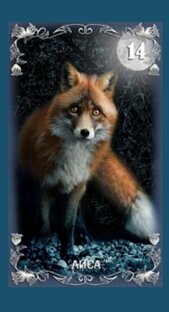 Оракул полной луны