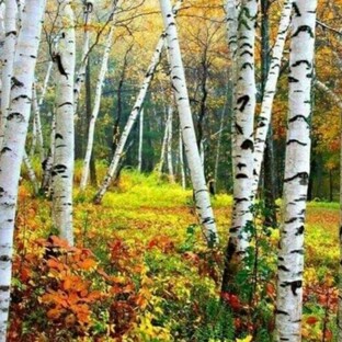 Размышления, мысли в слух.
