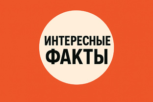 Интересные факты 