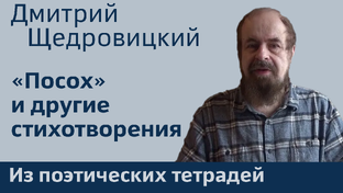 Из поэтических тетрадей