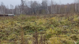 Проект Булыгина.