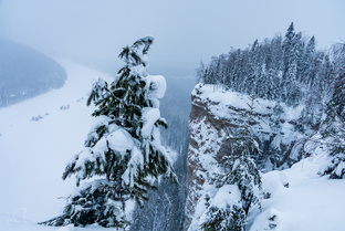 Снежная Парма