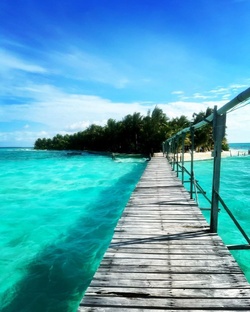 Путешествия 