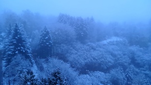 Горевание и Новогоднее время