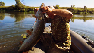 ловля щуки.