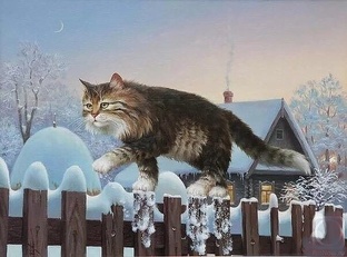 Мои коты