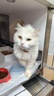 Отравления