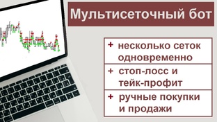 Мультисеточный бот