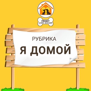 ВЫПУСНИКИ ПРИЮТА  🏡👫🐕